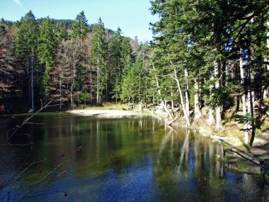 Forest Gölü Forstseeli veya Forstseeli alp göleti Alpstein sıradağları ve Ren Nehri vadisi (Rheintal), Oberriet Sg - İsviçre 'nin St. Gallen Kantonu
