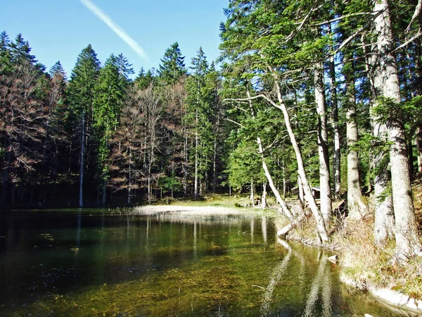 森林湖Forstseeliまたは高山池Forstseeliアルプシュタイン山脈とライン川渓谷 ラインタル オーバーリートSg カントン セント ガレン スイス — ストック写真
