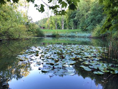 Eichweier Gölü veya Eichweiher göleti (Üç Pont dinlenme alanı veya Das Naherholungsgebiet Drei Weihern), Drei Weieren - St. Gallen, İsviçre