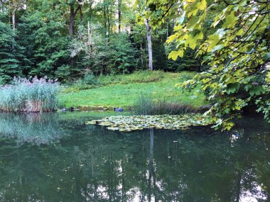 Eichweier Gölü veya Eichweiher göleti (Üç Pont dinlenme alanı veya Das Naherholungsgebiet Drei Weihern), Drei Weieren - St. Gallen, İsviçre