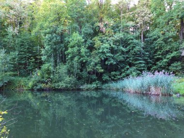 Eichweier Gölü veya Eichweiher göleti (Üç Pont dinlenme alanı veya Das Naherholungsgebiet Drei Weihern), Drei Weieren - St. Gallen, İsviçre