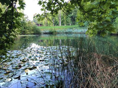 Eichweier Gölü veya Eichweiher göleti (Üç Pont dinlenme alanı veya Das Naherholungsgebiet Drei Weihern), Drei Weieren - St. Gallen, İsviçre