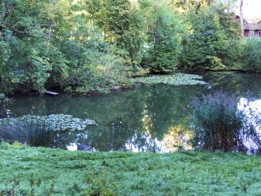 Eichweier Gölü veya Eichweiher göleti (Üç Pont dinlenme alanı veya Das Naherholungsgebiet Drei Weihern), Drei Weieren - St. Gallen, İsviçre