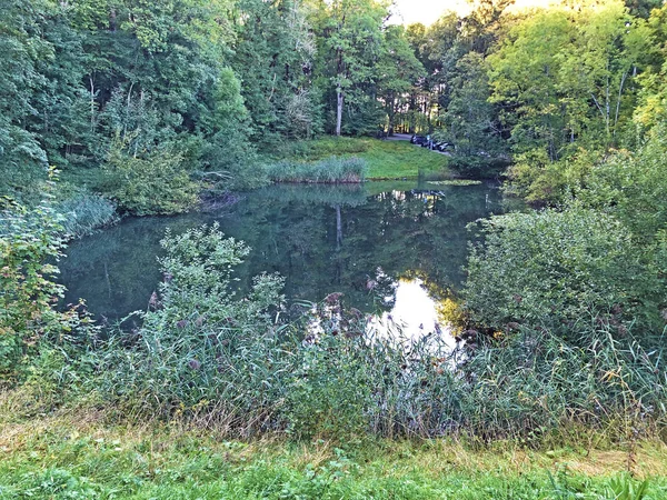 Het Meer Eichweier Eichweiher Vijver Drie Vijvers Recreatiegebied Das Naherholungsgebiet — Stockfoto