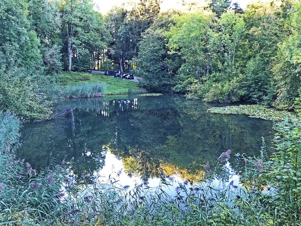 Eichweier Gölü Veya Eichweiher Göleti Pont Dinlenme Alanı Veya Das — Stok fotoğraf