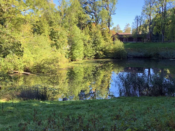 Staw Eichweier Lub Eichweiher Obszar Rekreacyjny Trzy Stawy Lub Das — Zdjęcie stockowe