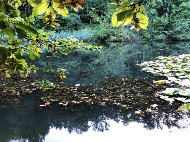 Eichweier Gölü veya Eichweiher göleti (Üç Pont dinlenme alanı veya Das Naherholungsgebiet Drei Weihern), Drei Weieren - St. Gallen, İsviçre