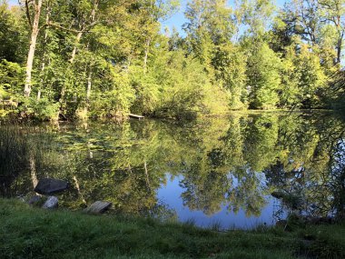 Eichweier Gölü veya Eichweiher göleti (Üç Pont dinlenme alanı veya Das Naherholungsgebiet Drei Weihern), Drei Weieren - St. Gallen, İsviçre