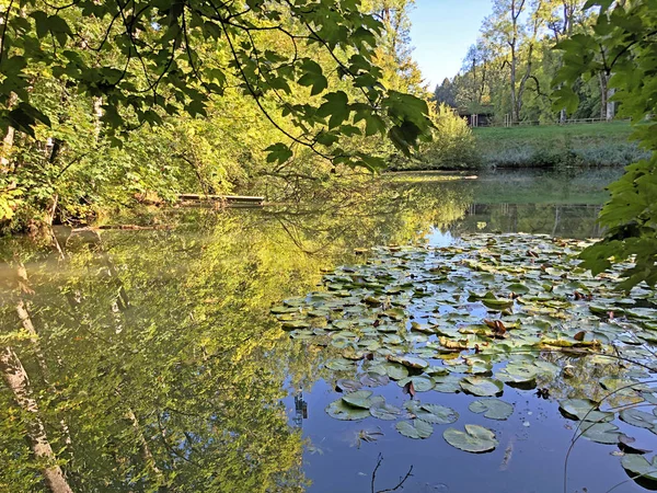 Eichweier Gölü veya Eichweiher göleti (Üç Pont dinlenme alanı veya Das Naherholungsgebiet Drei Weihern), Drei Weieren - St. Gallen, İsviçre