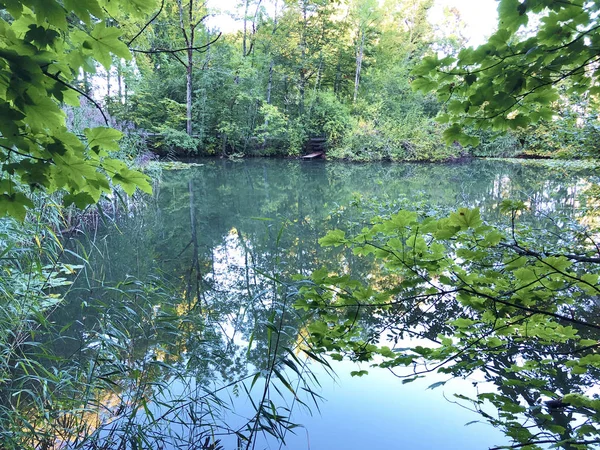 Eichweier Gölü veya Eichweiher göleti (Üç Pont dinlenme alanı veya Das Naherholungsgebiet Drei Weihern), Drei Weieren - St. Gallen, İsviçre