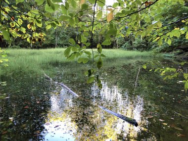 Altmannenweier Gölü veya Altmannenweiher göleti (Üç Pont dinlenme alanı veya Das Naherholungsgebiet Drei Weihern), Drei Weieren - St. Gallen, İsviçre