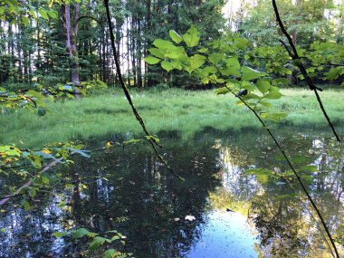 Altmannenweier Gölü veya Altmannenweiher göleti (Üç Pont dinlenme alanı veya Das Naherholungsgebiet Drei Weihern), Drei Weieren - St. Gallen, İsviçre