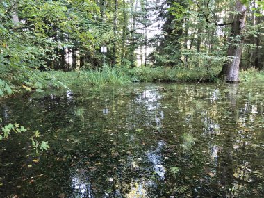 Altmannenweier Gölü veya Altmannenweiher göleti (Üç Pont dinlenme alanı veya Das Naherholungsgebiet Drei Weihern), Drei Weieren - St. Gallen, İsviçre