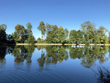 Buebenweier Gölü veya Buebenweiher göleti (Üç Pont dinlenme alanı veya Das Naherholungsgebiet Drei Weihern), Drei Weieren - St. Gallen, İsviçre