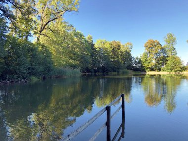 Buebenweier Gölü veya Buebenweiher göleti (Üç Pont dinlenme alanı veya Das Naherholungsgebiet Drei Weihern), Drei Weieren - St. Gallen, İsviçre