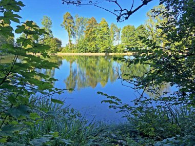 Buebenweier Gölü veya Buebenweiher göleti (Üç Pont dinlenme alanı veya Das Naherholungsgebiet Drei Weihern), Drei Weieren - St. Gallen, İsviçre
