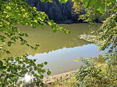 Buebenweier Gölü veya Buebenweiher göleti (Üç Pont dinlenme alanı veya Das Naherholungsgebiet Drei Weihern), Drei Weieren - St. Gallen, İsviçre