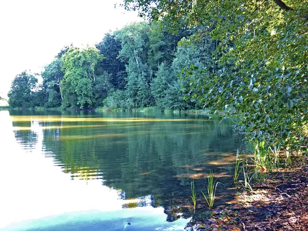 Lake Buebenweier Buebenweiher Pond Three Ponds Recreation Area Das Naherholungsgebiet — Stock Photo, Image