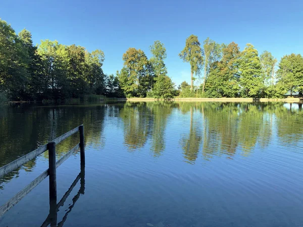湖BuebenweierまたはBuebenweher池 3つの池のレクリエーションエリアまたはダスNaherholungsgebiet Drei Weihern Drei Weeren Gallen スイス — ストック写真