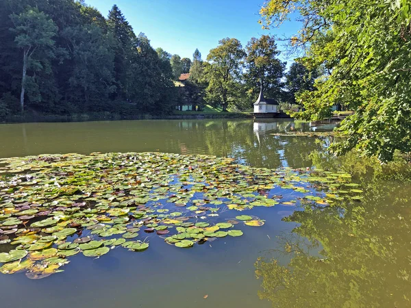 Sjön Buebenweier Eller Buebenweiher Damm Tre Dammar Rekreationsområde Eller Das — Stockfoto