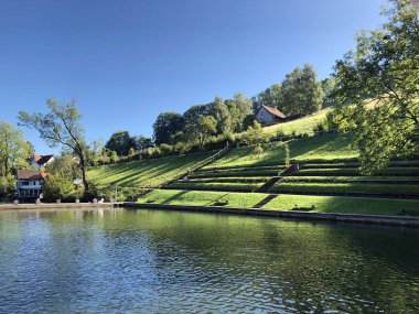 Mannenweier Gölü veya Mannenweiher göleti (Üç Pont dinlenme alanı veya Das Naherholungsgebiet Drei Weihern), Drei Weieren - St. Gallen, İsviçre