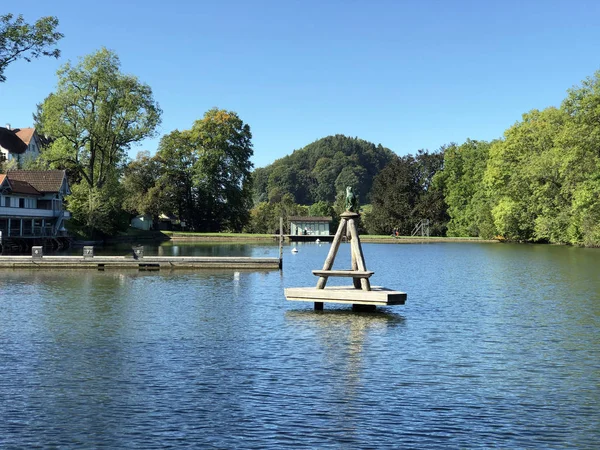 Mannenweier Dammen Eller Mannenweiher Dammen Tre Dammar Rekreationsområde Eller Das — Stockfoto