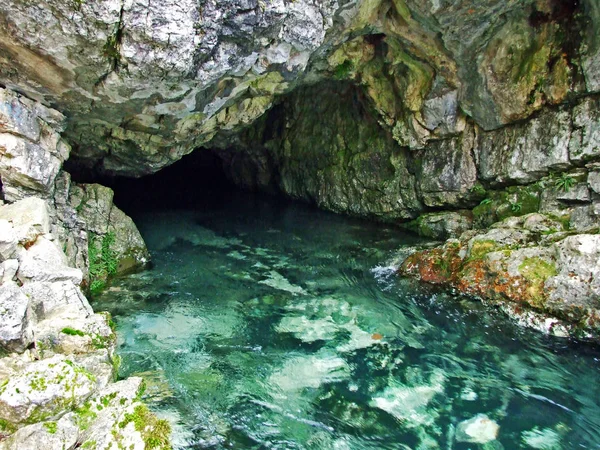 Manantiales Del Río Cetina Croacia — Foto de Stock