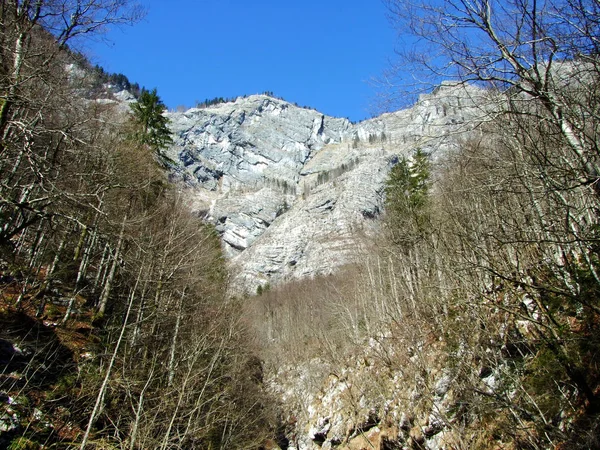 Rochers Alpins Abrupts Dessus Source Rivière Sava Bohinjka Savica Parc — Photo