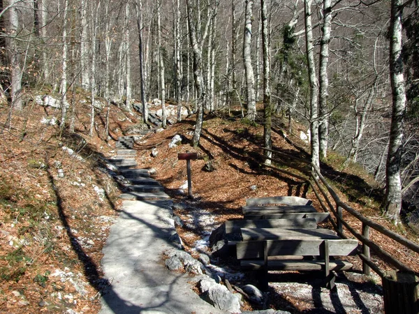 Sentier Randonnée Vers Savica Sava Bohinjka Parc National Triglav Ukanc — Photo