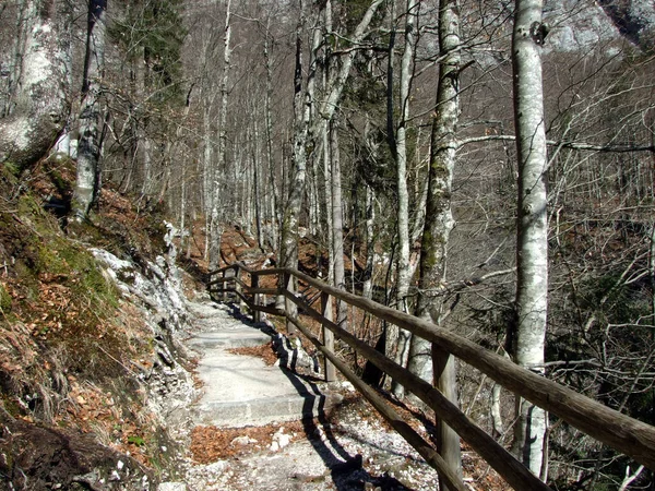 Sendero Hacia Savica Río Sava Bohinjka Parque Nacional Triglav Ukanc — Foto de Stock