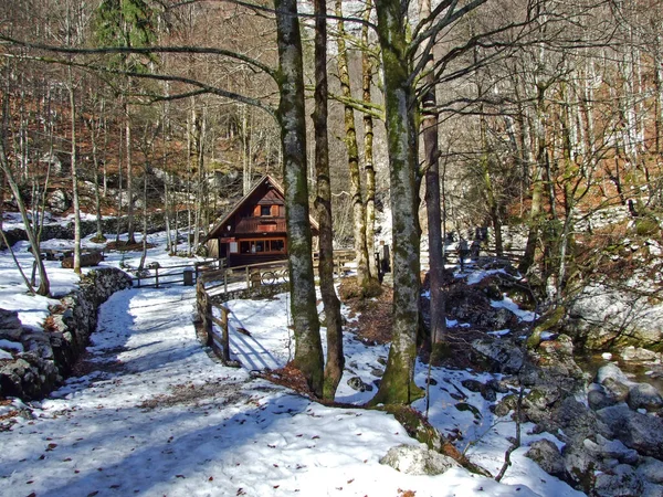 Wandelroute Richting Savica Sava Bohinjka Triglav Nationaal Park Ukanc Slovenië — Stockfoto