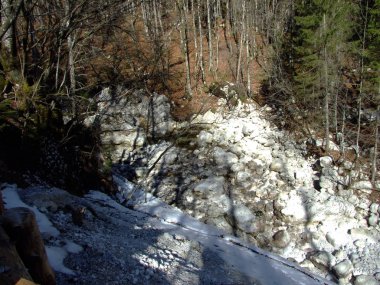 Stream of the Sava Bohinjka River just after the source of the Savica, Triglav National Park - Ukanc, Slovenia