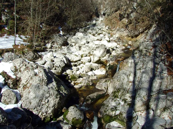 Ρεύμα Του Ποταμού Sava Bohinjka Αμέσως Μετά Την Πηγή Του — Φωτογραφία Αρχείου