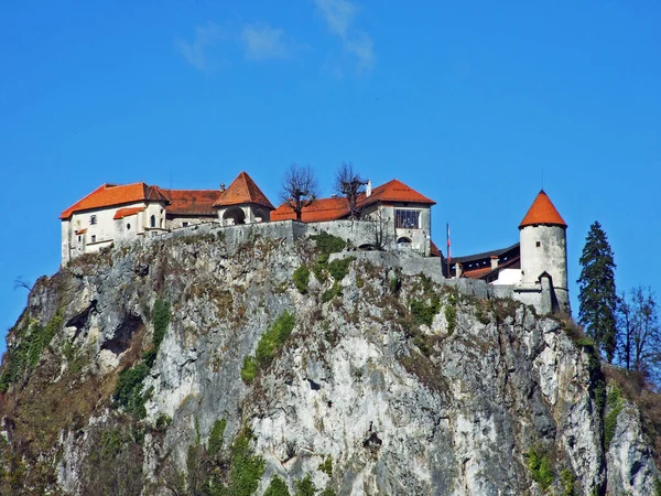 布莱德城堡 Blejski Grad Die Burg Von Bled Oder Burg Veldes — 图库照片