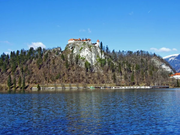 Bled Castle Blejski Grad Die Burg Von Bled Oder Burg — Stock Photo, Image