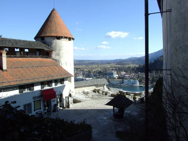 Castelo Bled Blejski Grad Die Burg Von Bled Oder Burg — Fotografia de Stock