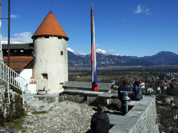 Bled Castle Blejski Grad Die Burg Von Bled Oder Burg — Stock Photo, Image