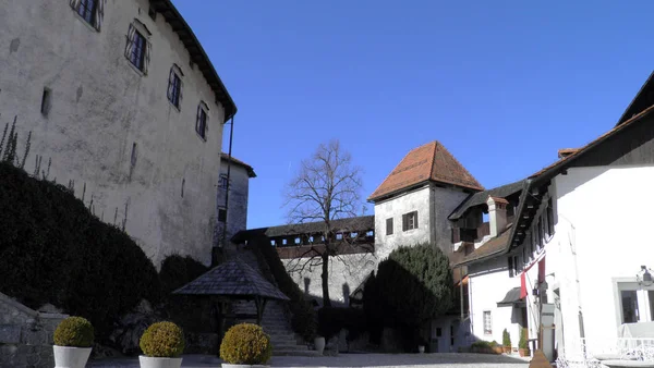 Castello Bled Blejski Grad Die Burg Von Bled Oder Burg — Foto Stock