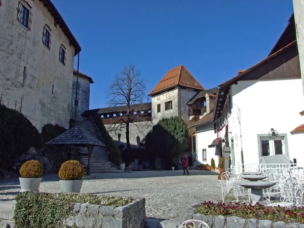 Castello Bled Blejski Grad Die Burg Von Bled Oder Burg — Foto Stock