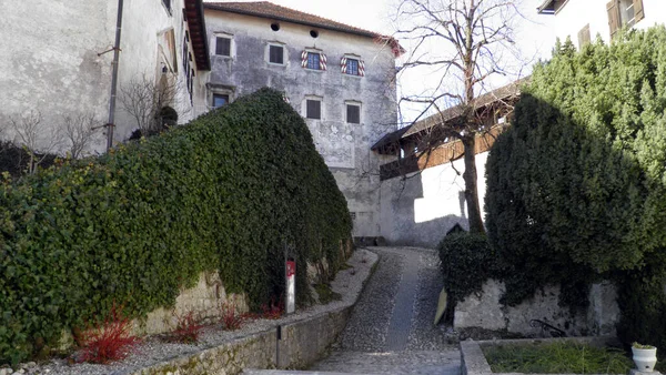 Castello Bled Blejski Grad Die Burg Von Bled Oder Burg — Foto Stock