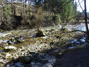 Vintgar Gorge or Bled Gorge and Radovna River (Soteska Vintgar ali Blejski vintgar in reka Radovna) - Zgornje Gorje, Slovenia