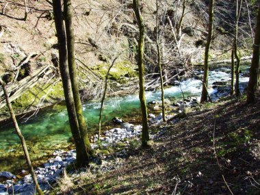 Vintgar Gorge or Bled Gorge and Radovna River (Soteska Vintgar ali Blejski vintgar in reka Radovna) - Zgornje Gorje, Slovenia