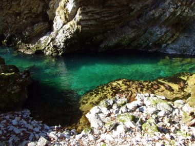 Vintgar Gorge or Bled Gorge and Radovna River (Soteska Vintgar ali Blejski vintgar in reka Radovna) - Zgornje Gorje, Slovenia