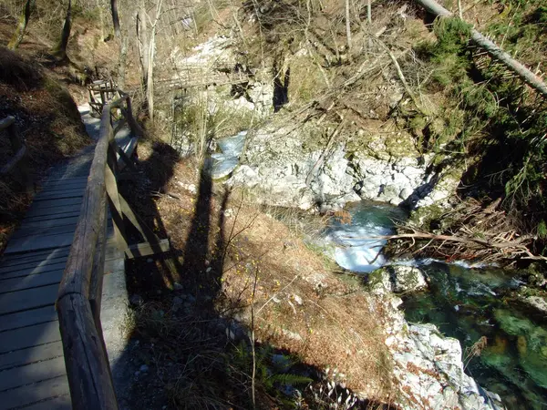 Vintgar Gorge Bled Gorge Radovna River Soteska Vintgar Ali Blejski — Stock fotografie