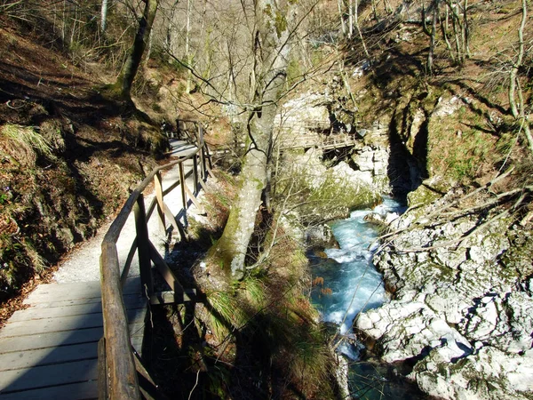 Vintgar Gorge Bled Gorge Radovna River Soteska Vintgar Ali Blejski — Stock fotografie