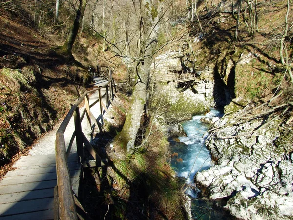 Vintgar Gorge Vagy Bled Gorge Radovna Folyó Soteska Vintgar Ali — Stock Fotó