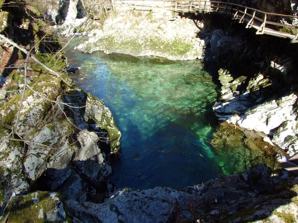 Vintgar Gorge Bled Gorge Radovna River Soteska Vintgar Ali Blejski — Foto de Stock