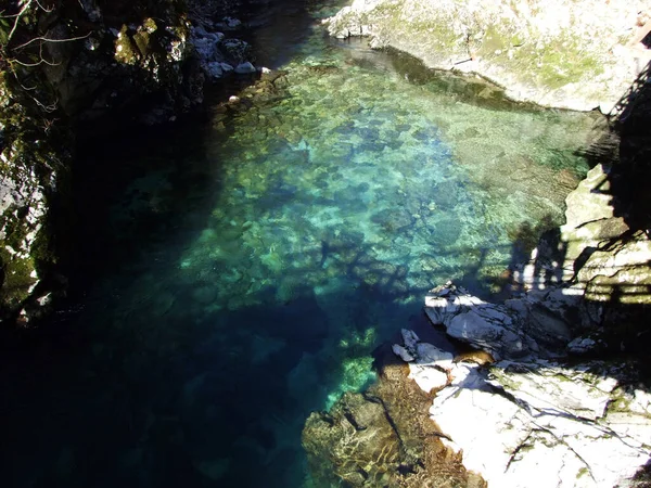 Vintgar Gorge Bled Gorge Radovna River Soteska Vintgar Ali Blejski — Foto de Stock