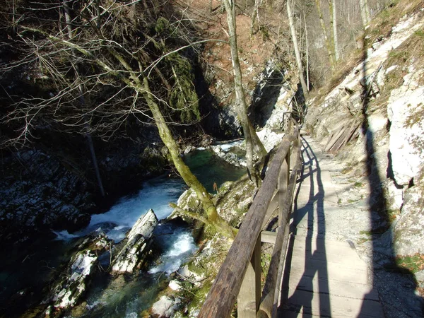 Vintgar Gorge Bled Gorge Radovna River Soteska Vintgar Ali Blejski — Stock fotografie