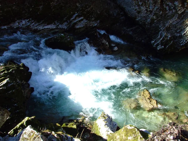 Vintgar Gorge Bled Gorge Radovna River Soteska Vintgar Ali Blejski — Stockfoto